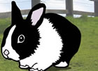 easter_eggs.jpg