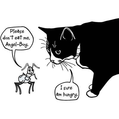 mia_ryan_ant_cat