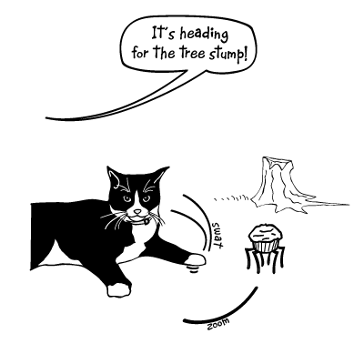 mia_ryan_ant_cat_stump