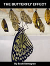 the_butterfly_effect