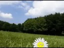 morning_moodiness_thumbnail.jpg