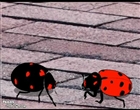 mrgrieves_be_careful_thumbnail.jpg